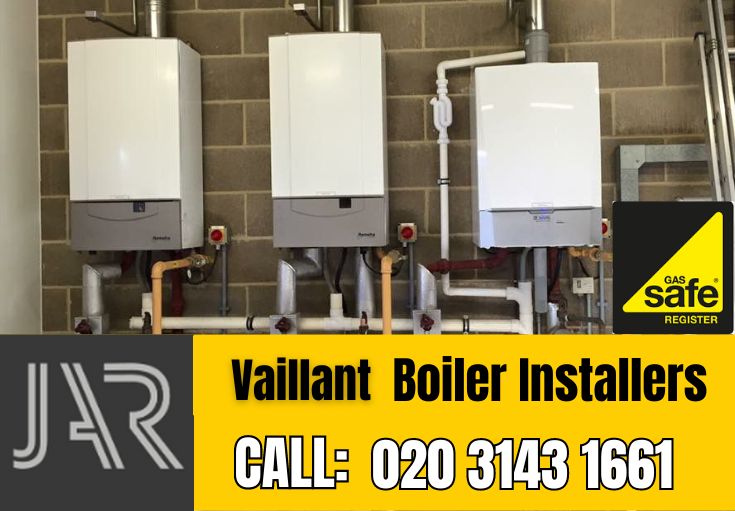 Vaillant boiler installers Hampton